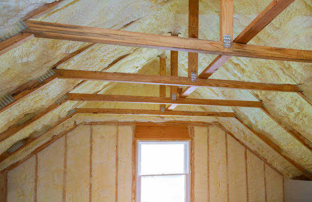 Best Geographic-Specific Insulation Services in Holly Hills, CO
