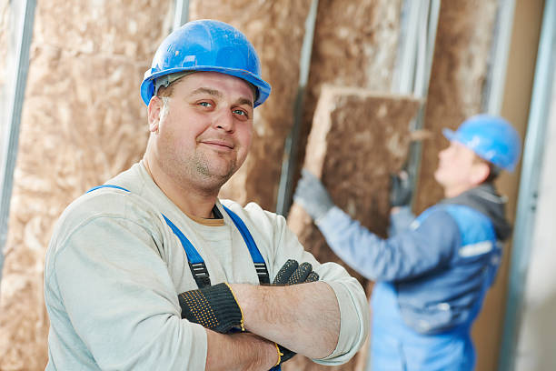 Best Cellulose Insulation in Holly Hills, CO
